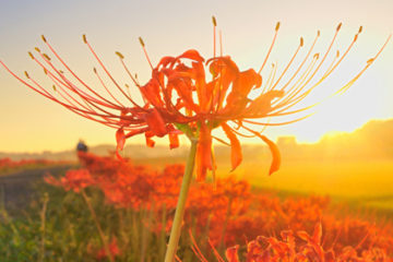 最近起こった不思議な出来事