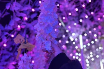 イルミネーション